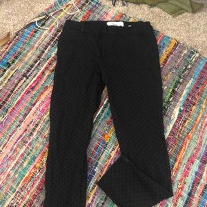Dress pants